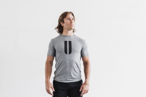 Nobull Horns Tee T-shirts Herren Grau | PBEQ-16950