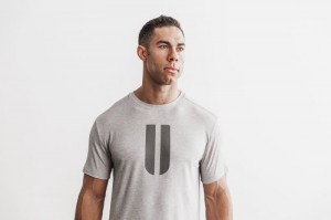 Nobull Horns Tee T-shirts Herren Hellgrau | RNYT-89145
