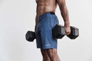 Nobull Stretch Woven Kurzes 9" Kurze Hose Herren Grau Blau | COJD-74831